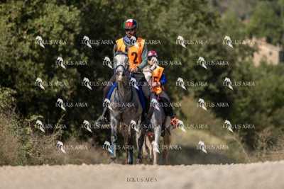 Raid-St-Bartomeu-EQUUS-AREA-021