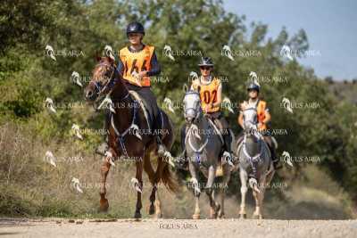 Raid-St-Bartomeu-EQUUS-AREA-025