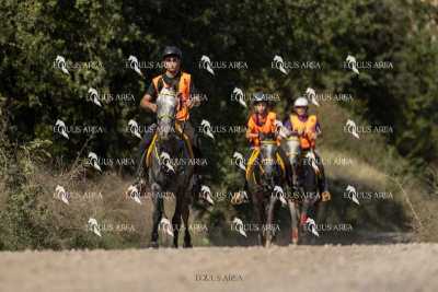 Raid-St-Bartomeu-EQUUS-AREA-054