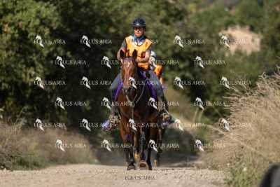 Raid-St-Bartomeu-EQUUS-AREA-058