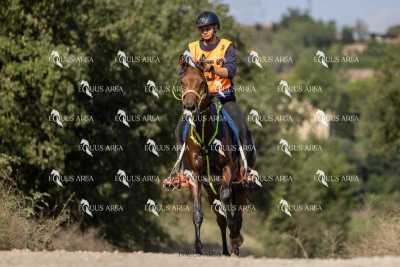 Raid-St-Bartomeu-EQUUS-AREA-076