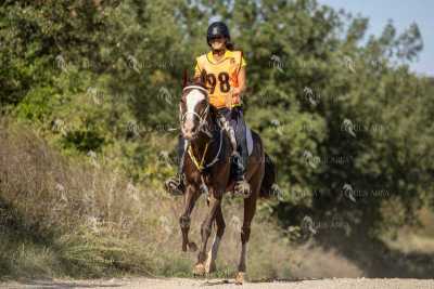 Raid-St-Bartomeu-EQUUS-AREA-094