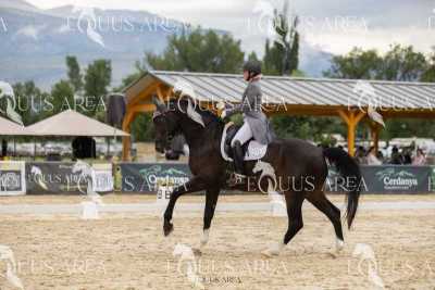 Premios-Domingo-tarde-15