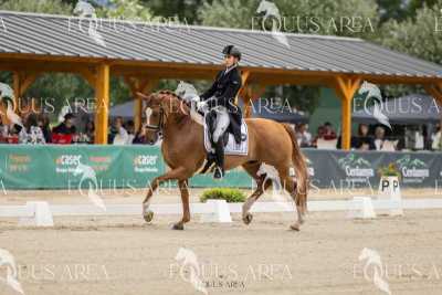 Premios-Domingo-tarde-21