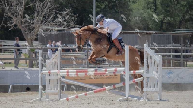 IMG_1970