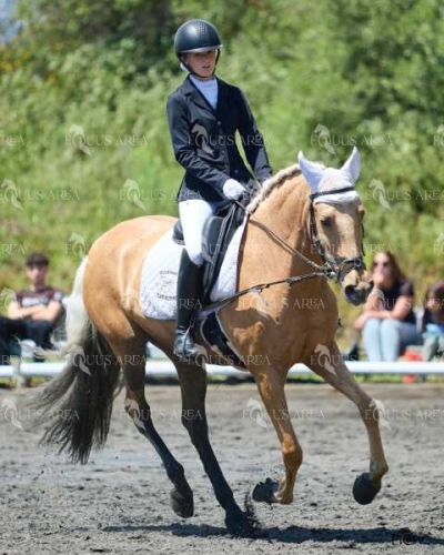 DOMA11052025M-079