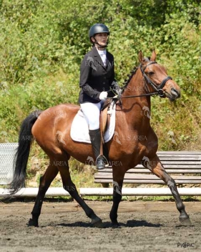 DOMA11052025M-120