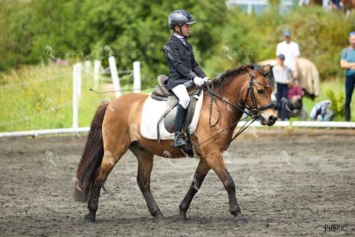 DOMA11052025M-135