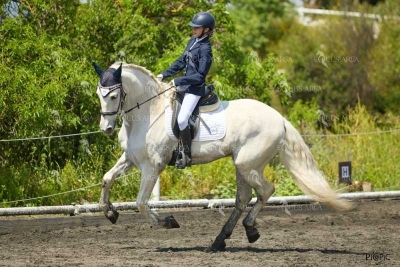 DOMA11052025M-153
