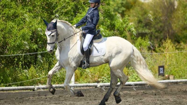 DOMA11052025M-153