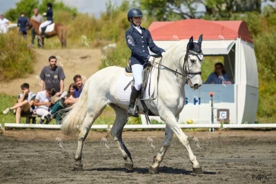 DOMA11052025M-154