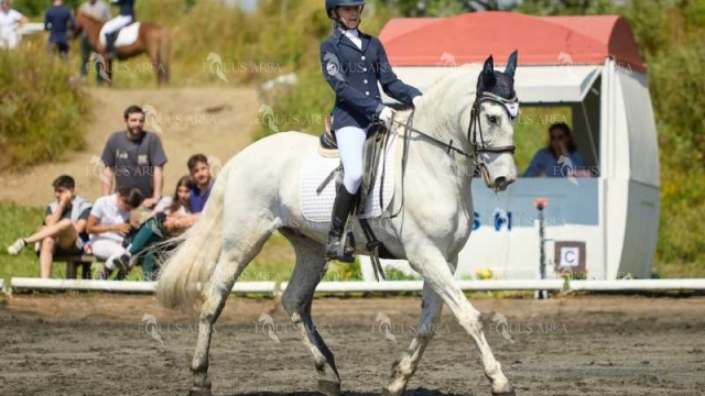 DOMA11052025M-154