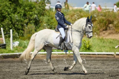 DOMA11052025M-155