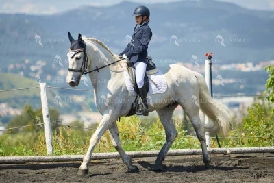 DOMA11052025M-157
