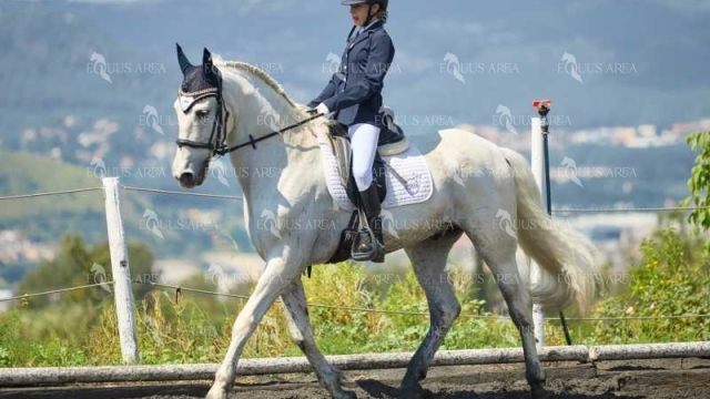 DOMA11052025M-157