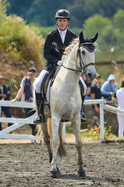 DOMA11052025M-174