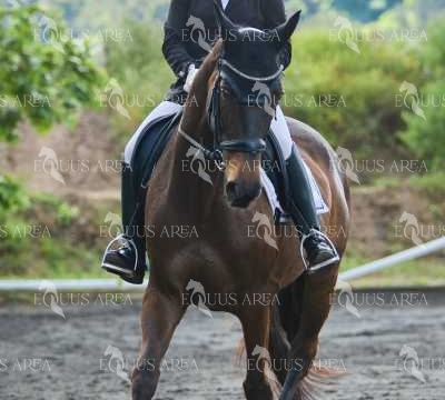 DOMA11052025M-190
