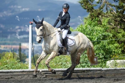 DOMA11052025M-203