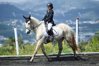 DOMA11052025M-205