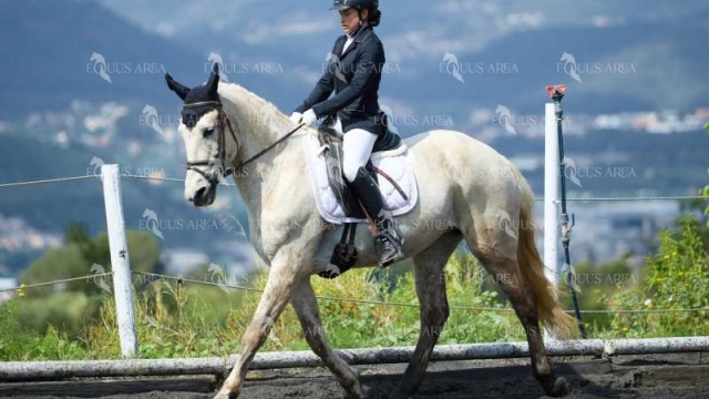 DOMA11052025M-205