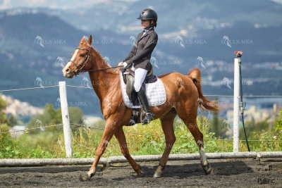 DOMA11052025M-213