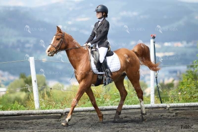 DOMA11052025M-218