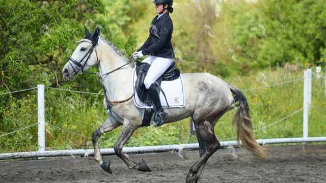 DOMA11052025M-223