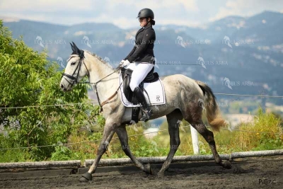 DOMA11052025M-225