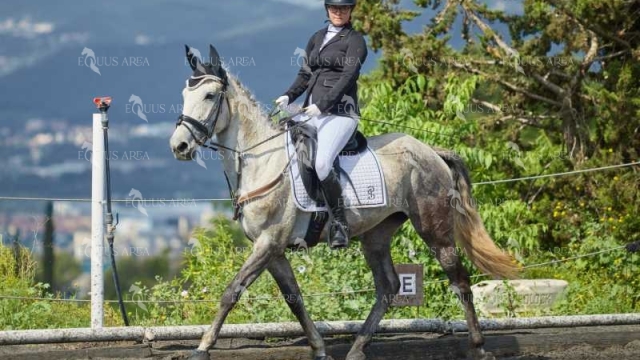 DOMA11052025M-227
