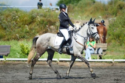 DOMA11052025M-229