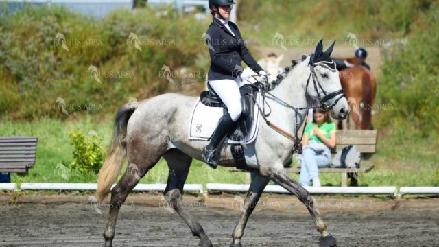 DOMA11052025M-229