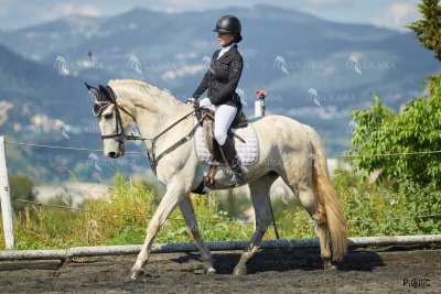 DOMA11052025M-243