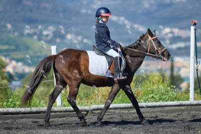 DOMA11052025M-257