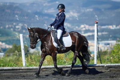 DOMA11052025M-272
