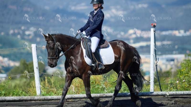 DOMA11052025M-272