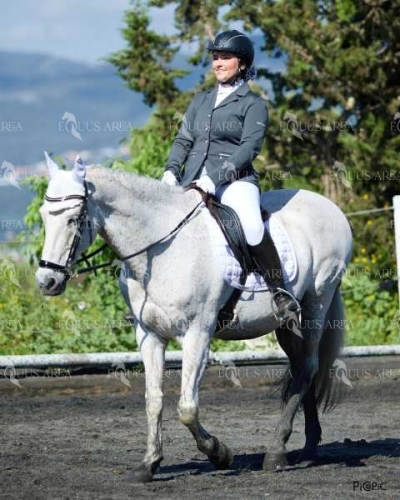 DOMA11052025M-278