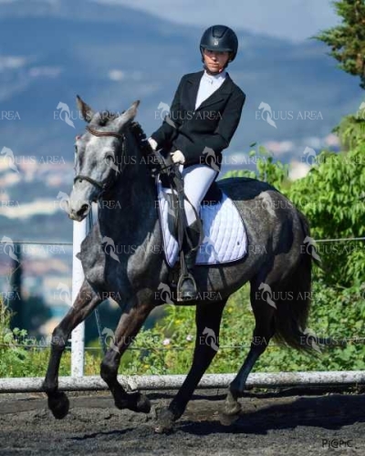 DOMA11052025M-289