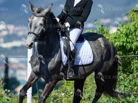 DOMA11052025M-289