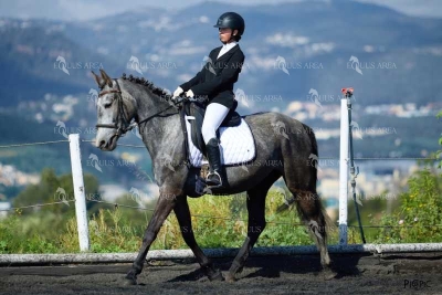 DOMA11052025M-291