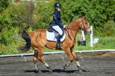 DOMA11052025M-297