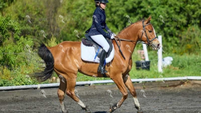 DOMA11052025M-297