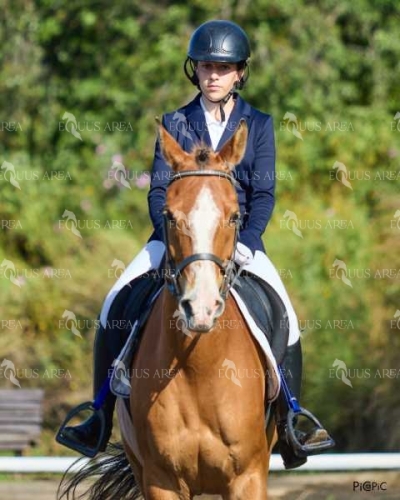 DOMA11052025M-302