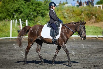 DOMA11052025M-316