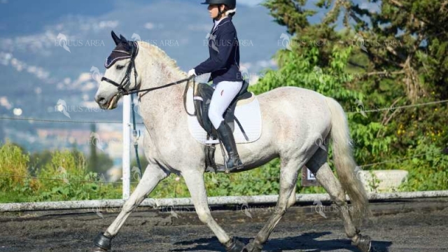 DOMA11052025M-338