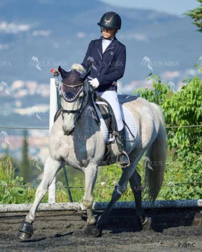 DOMA11052025M-345