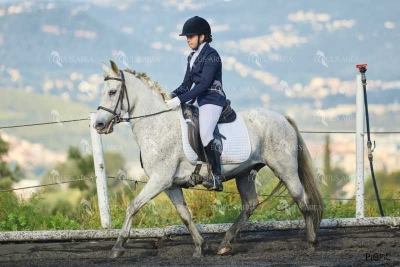 DOMA11052025M-354