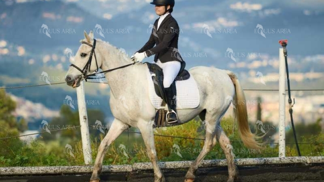 DOMA11052025M-418