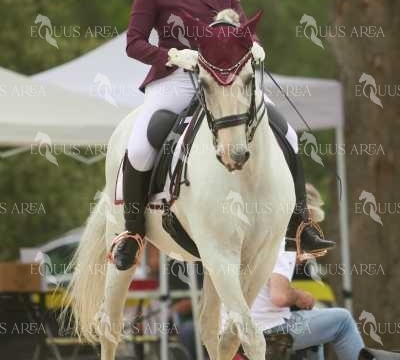 DOMA08062025M-047