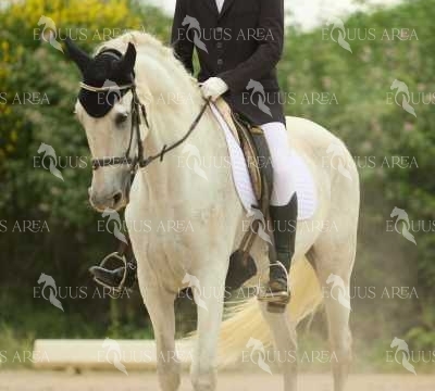 DOMA08062025M-083