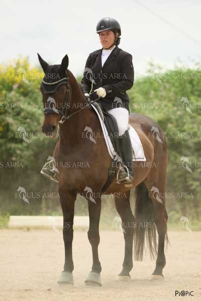 DOMA08062025M-096